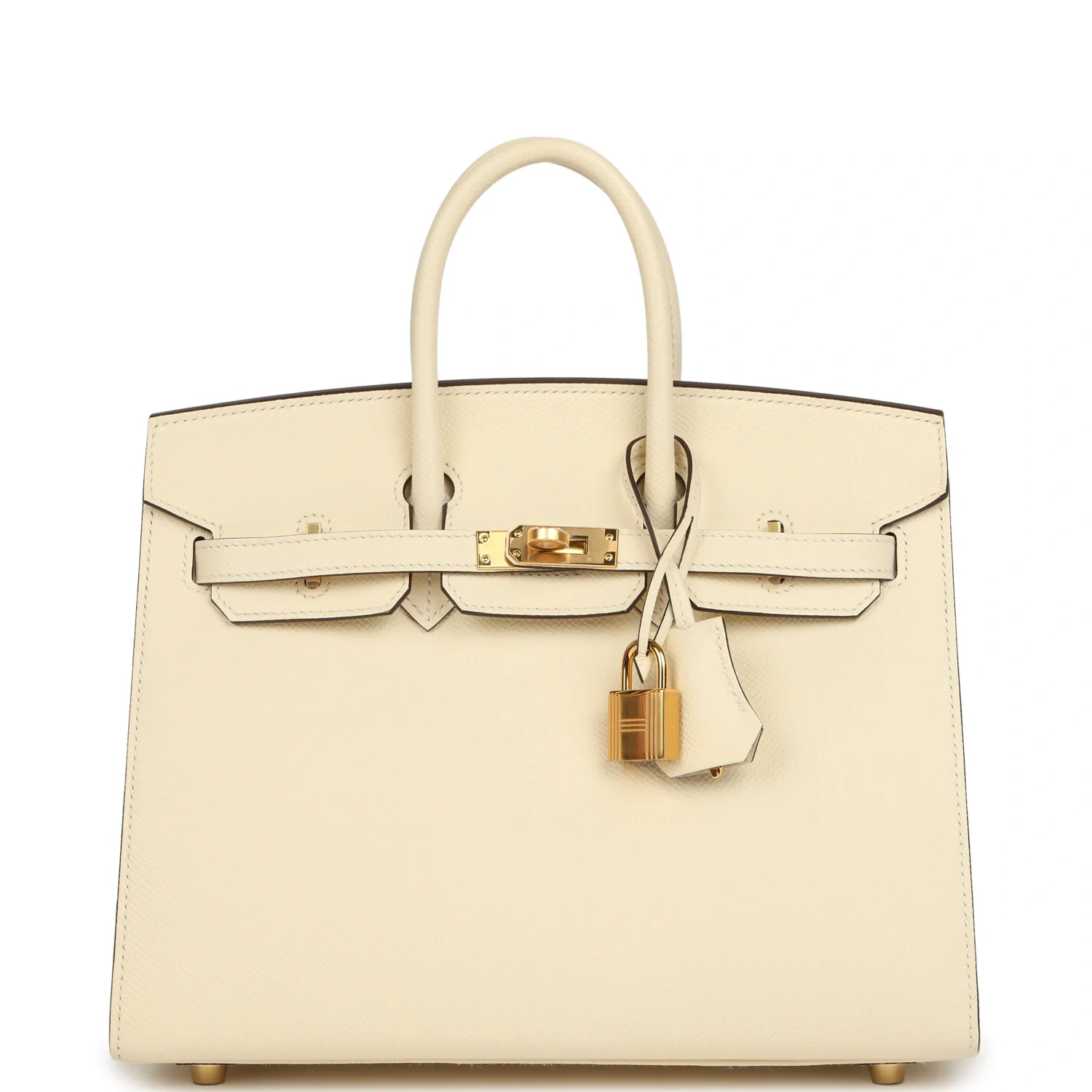Birkin 25 Nata Epsom Gold Hardware