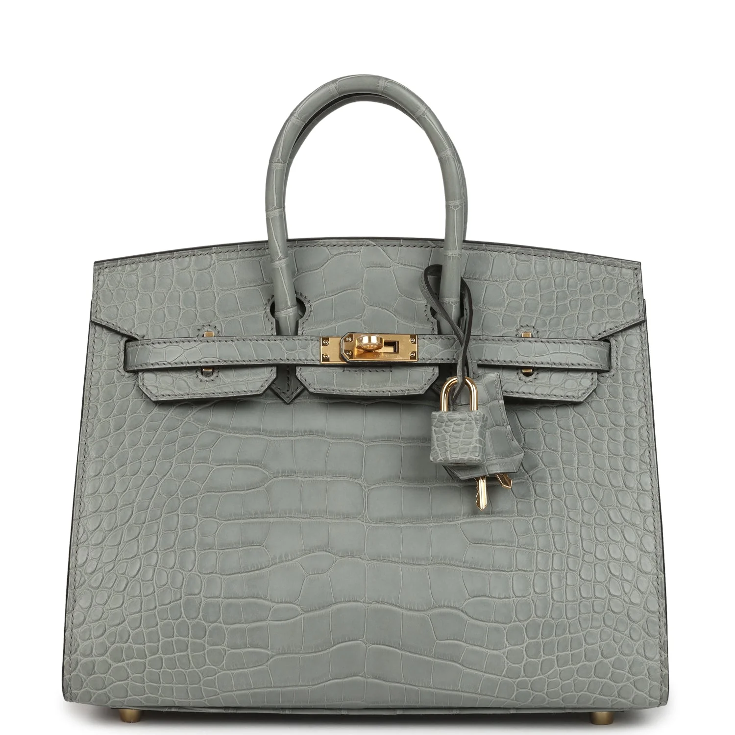 Birkin 25 Gris Ciment Matte Alligator Gold Hardware