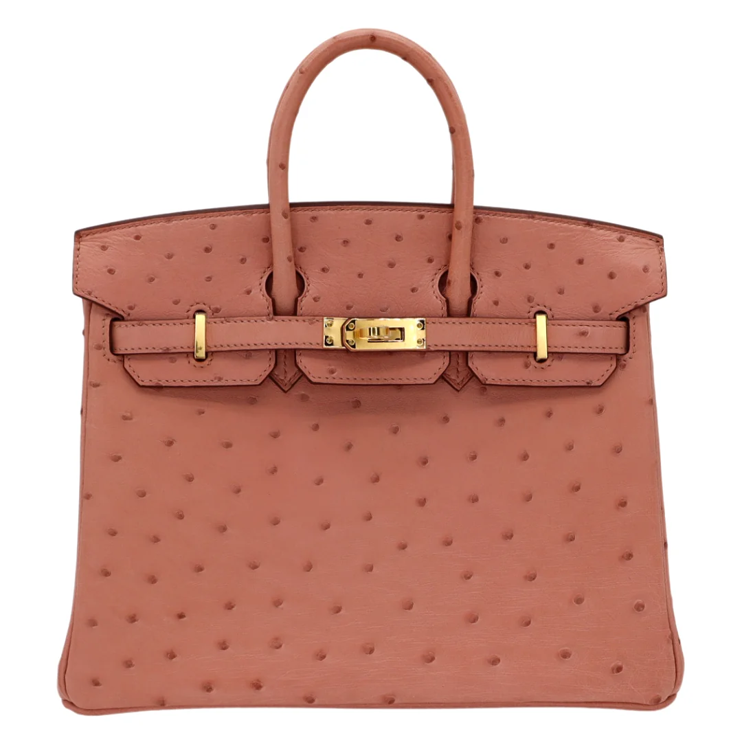 Birkin 25 Terre Cuite Ostrich Gold Hardware