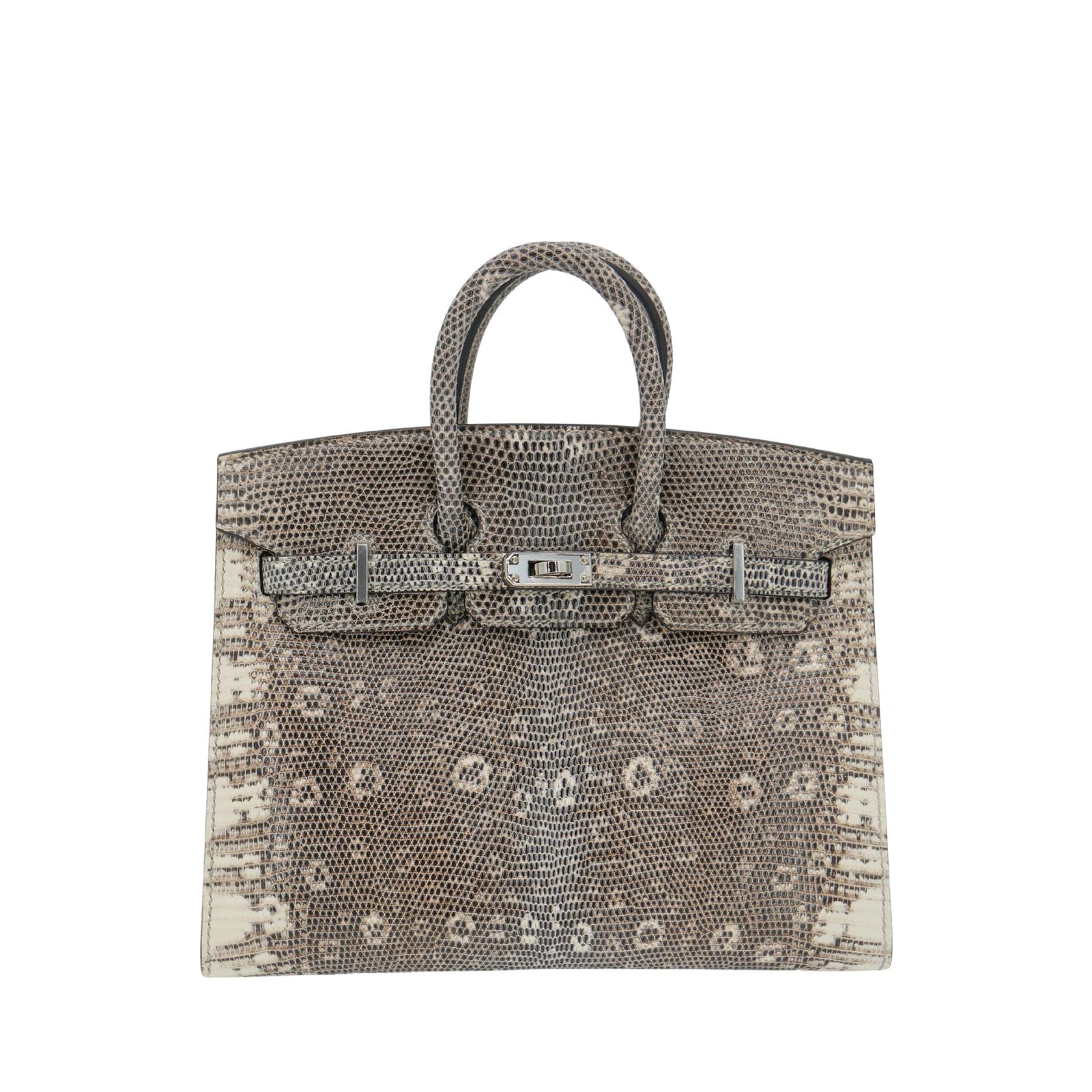 Birkin 20 Ombré Salvator Lizard Palladium Hardware
