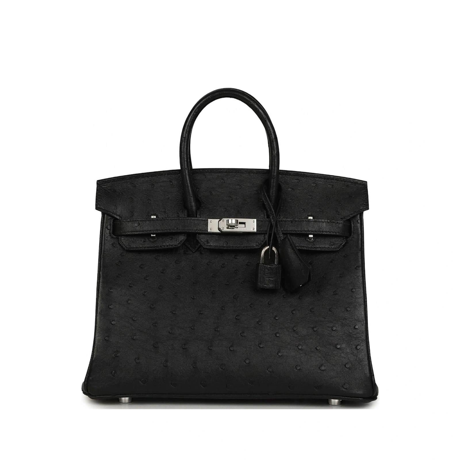 Birkin 25 Black Ostrich Palladium Hardware