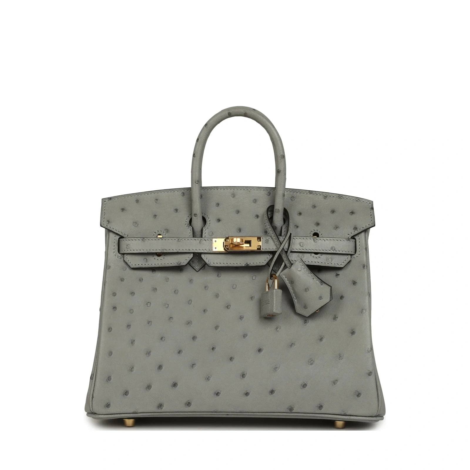Birkin 25 Bleu Glacier Ostrich Gold Hardware