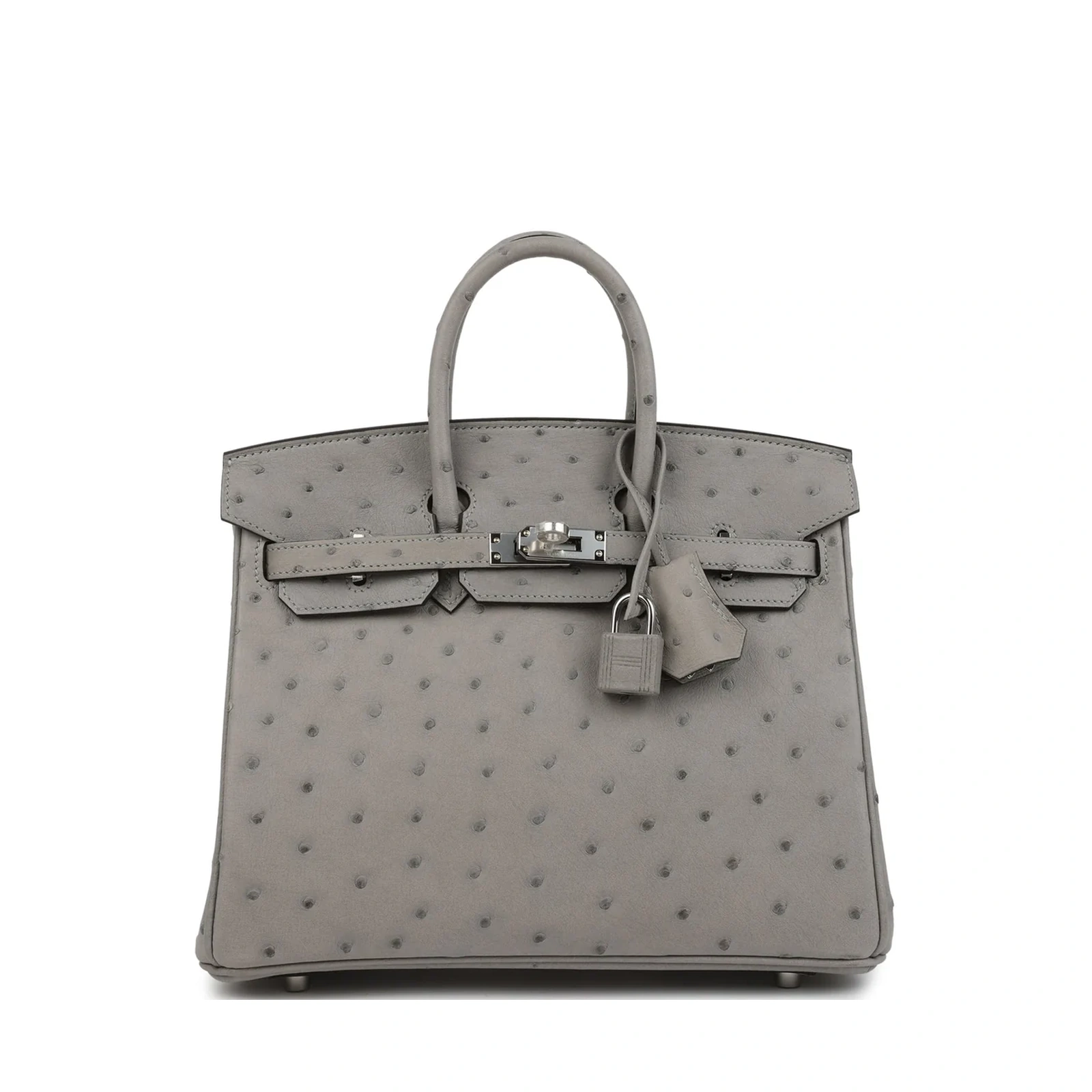 Birkin 25 Gris Mouette Ostrich Palladium Hardware