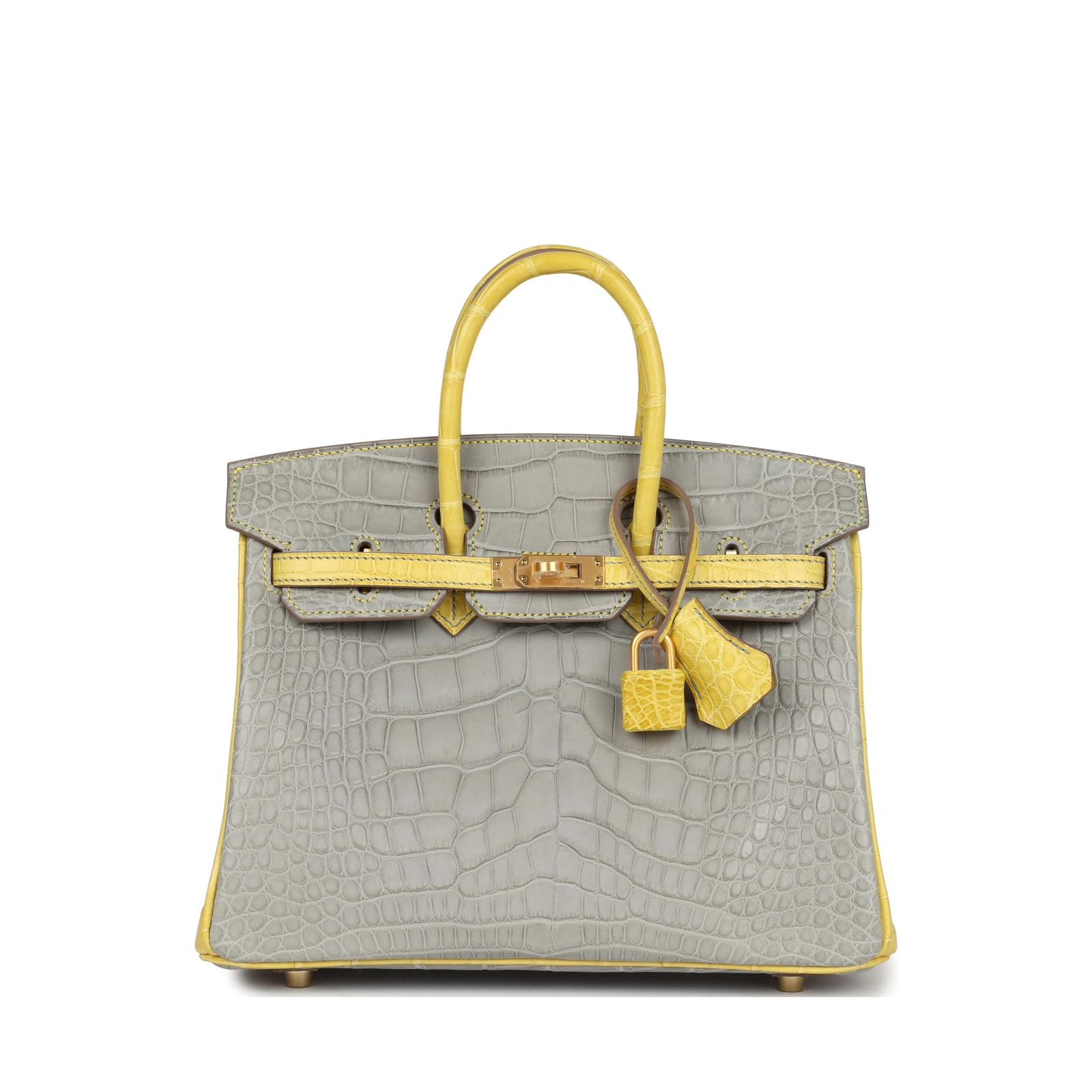 Birkin 25 Special Order