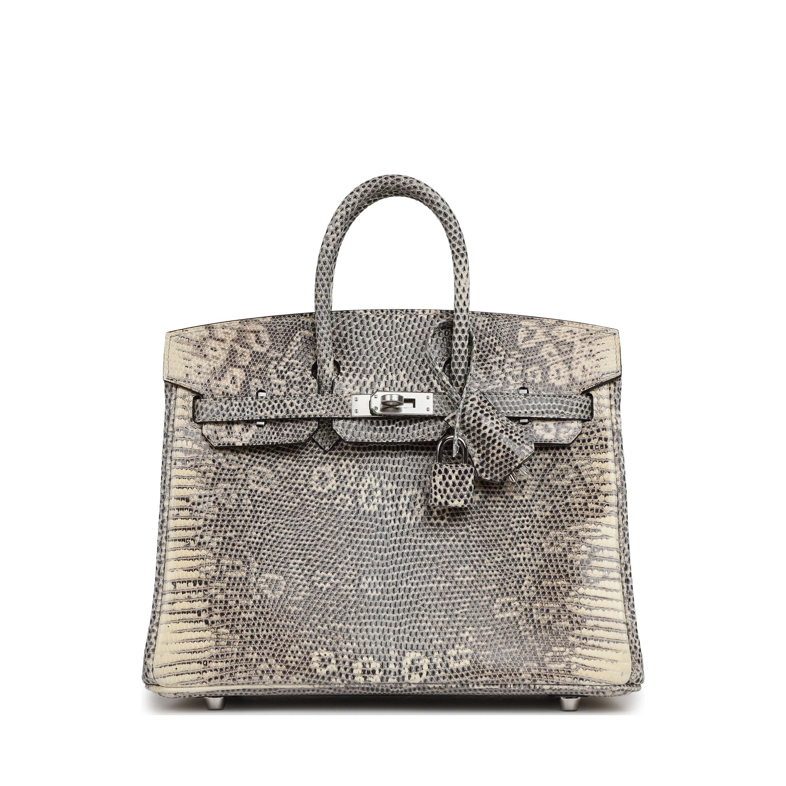 Birkin 25 Ombré Salvator Lizard Palladium Hardware