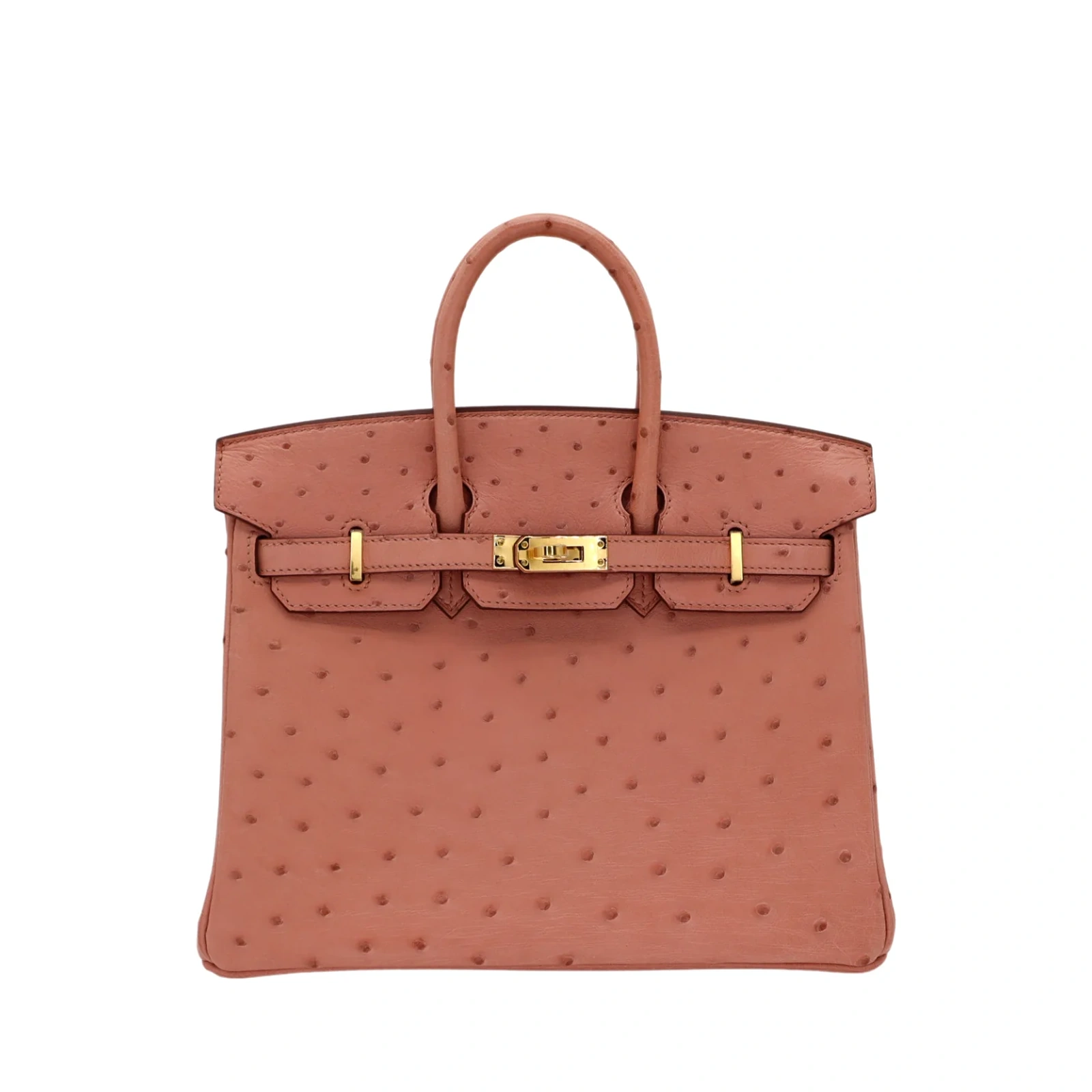 Birkin 25 Terre Cuite Ostrich Gold Hardware