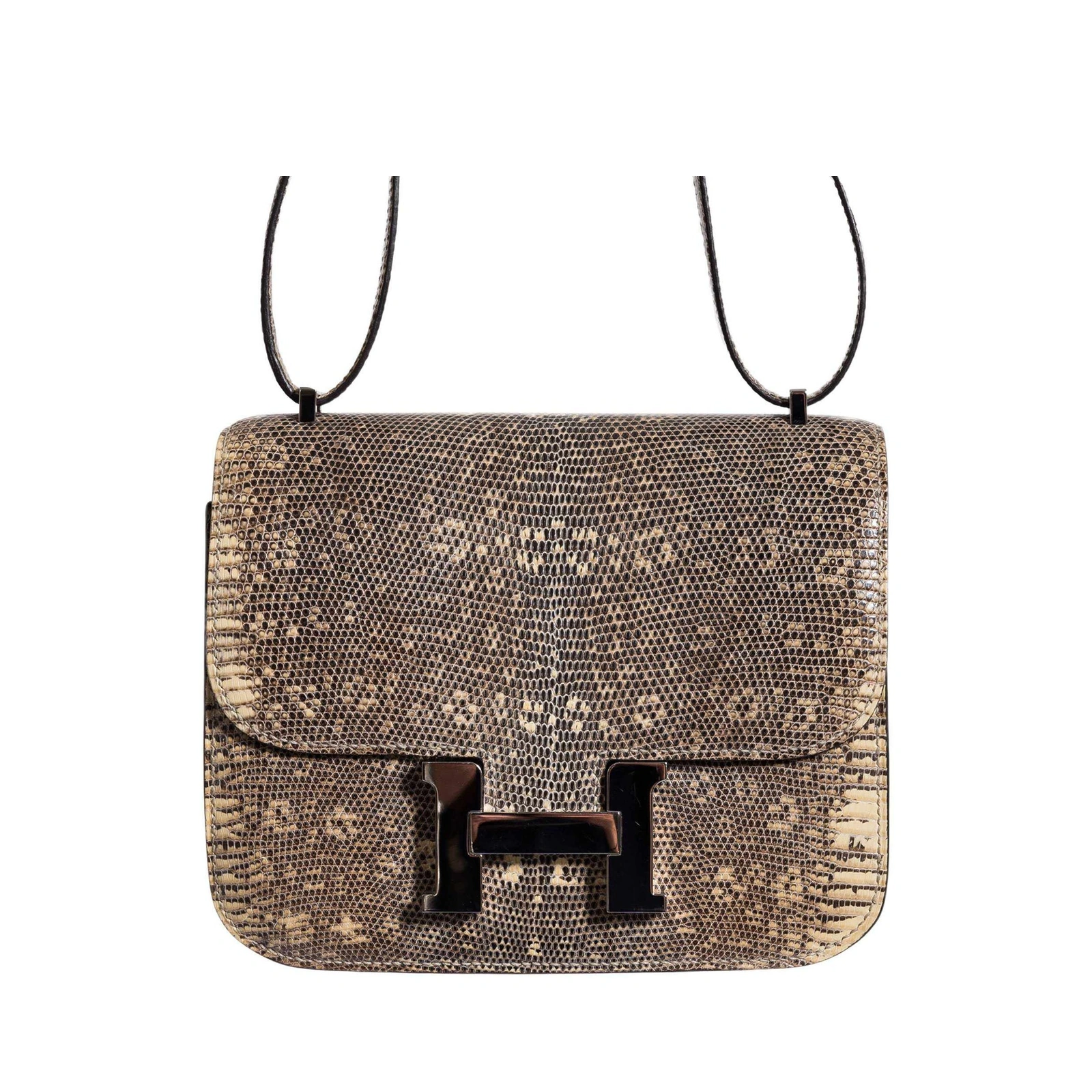 Constance 18 Mini Ombré Salvator Lizard Palladium Hardware