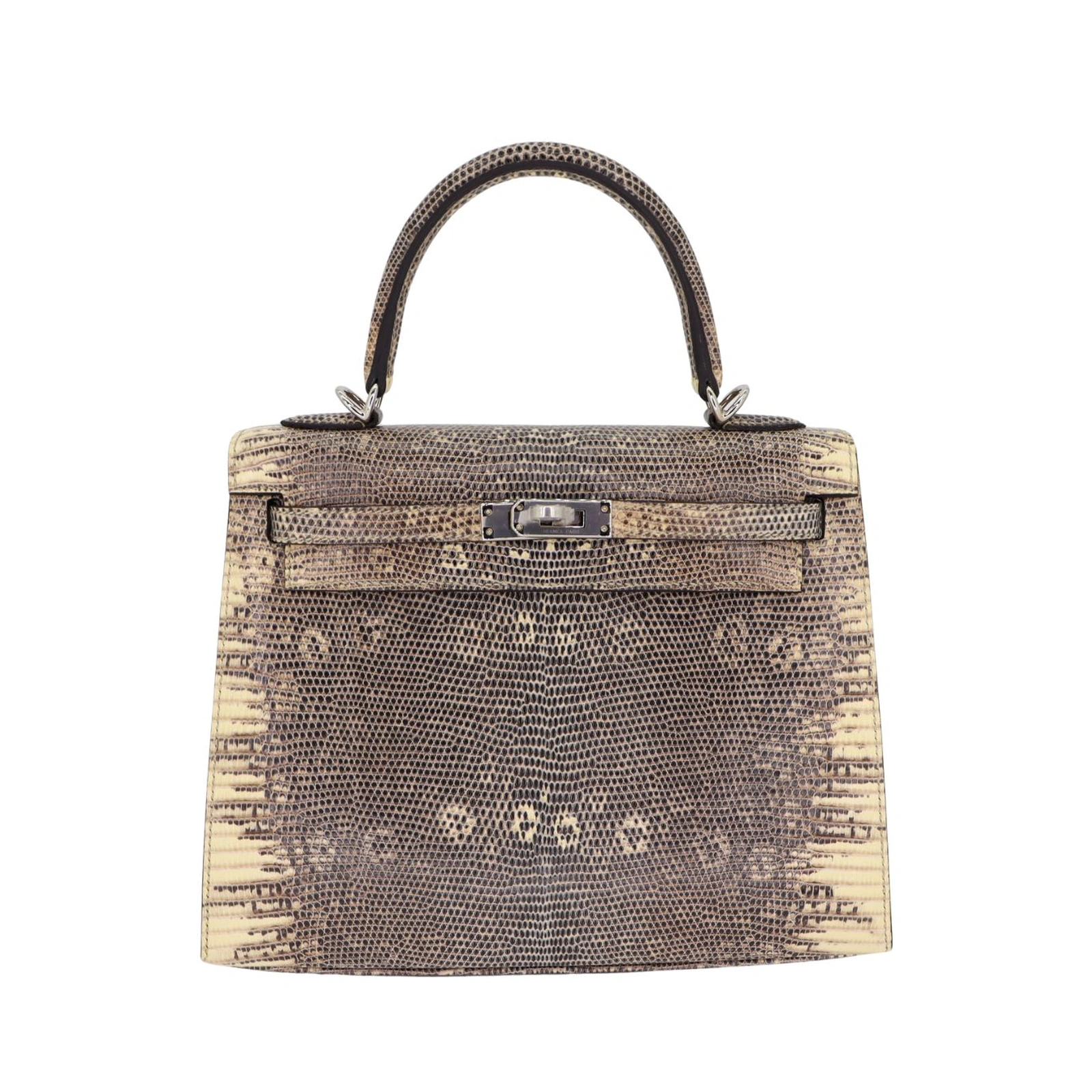 Kelly 25 Ombré Salvator Lizard Palladium Hardware
